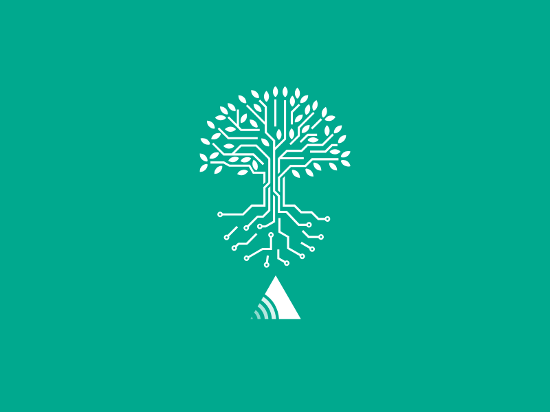 Why We Planted Roots in Red Deer: A Local Approach to World-Class IT Thumbnail